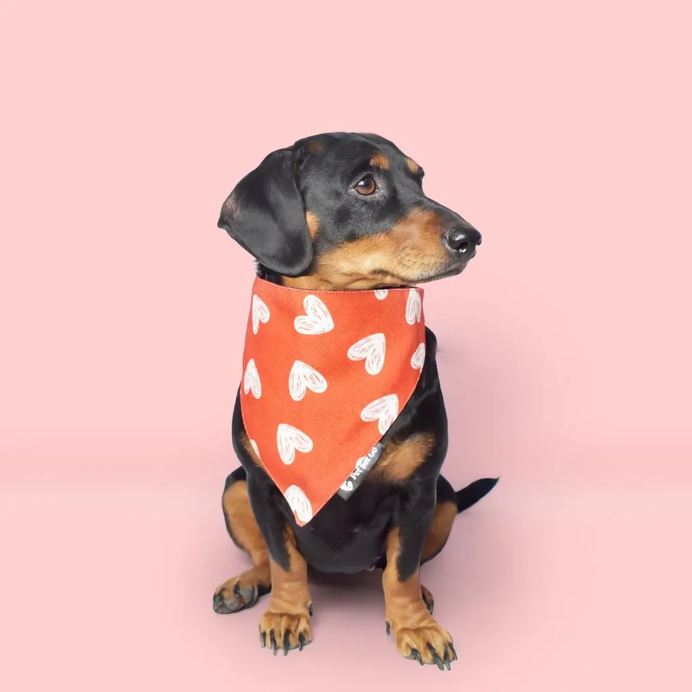 All Hearts Dog Bandana