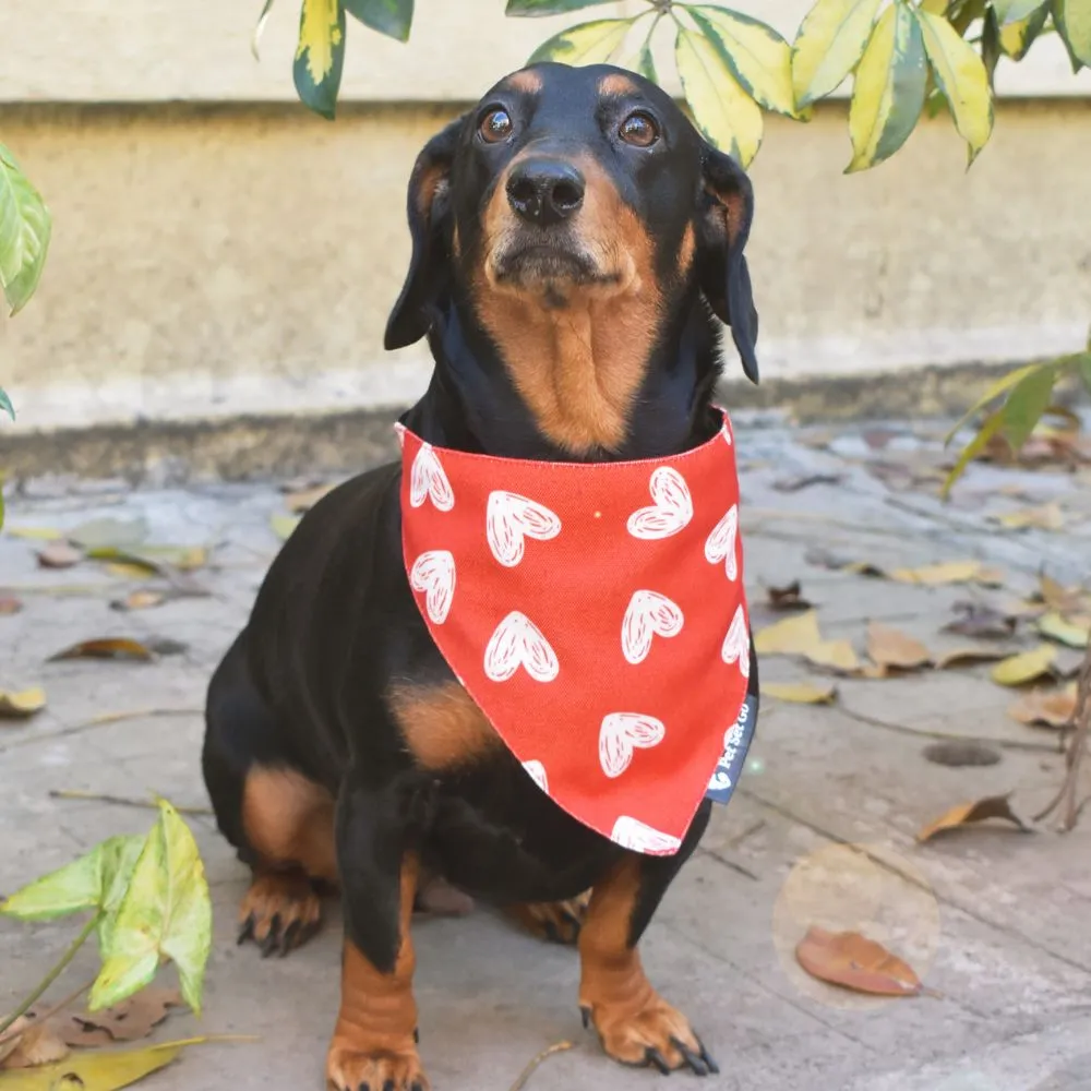 All Hearts Dog Bandana