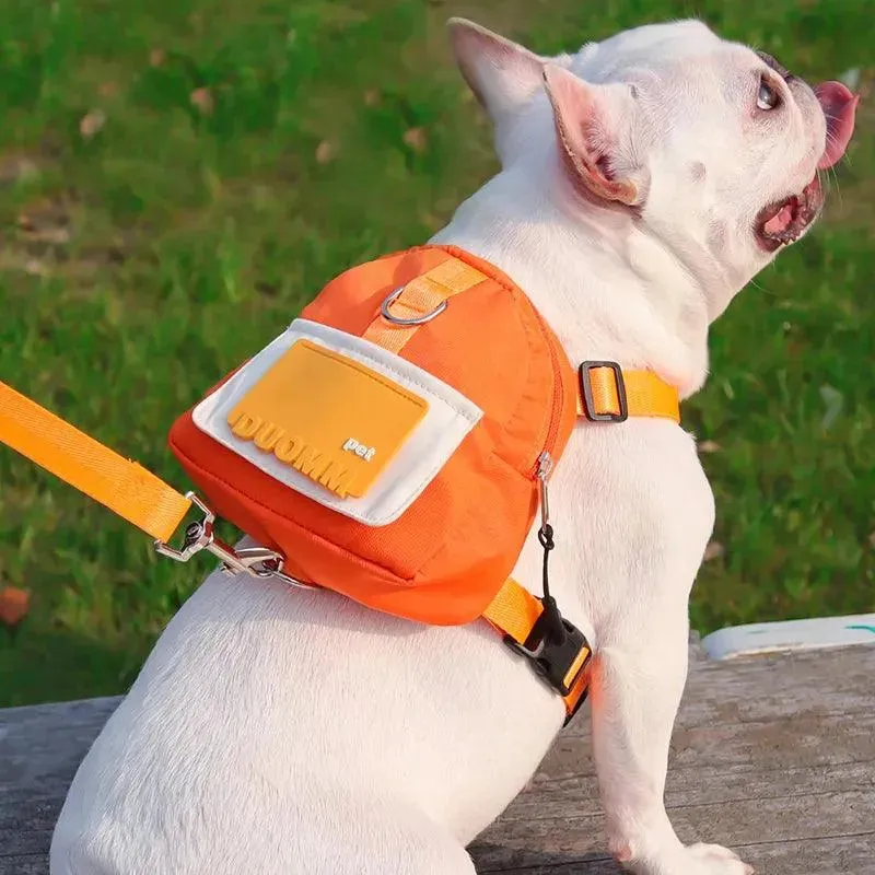 Backpack Harness with Leash Set