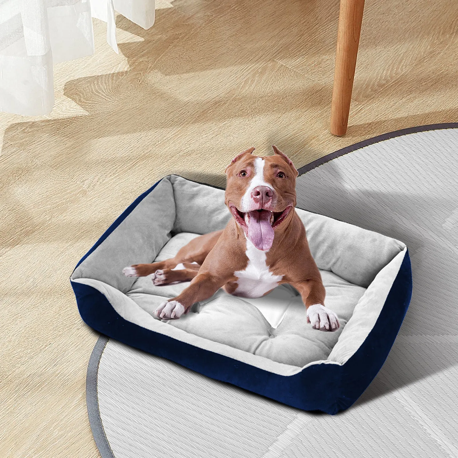 Blue Walled Pet Bed with Foam Padding - Medium | PawFriends