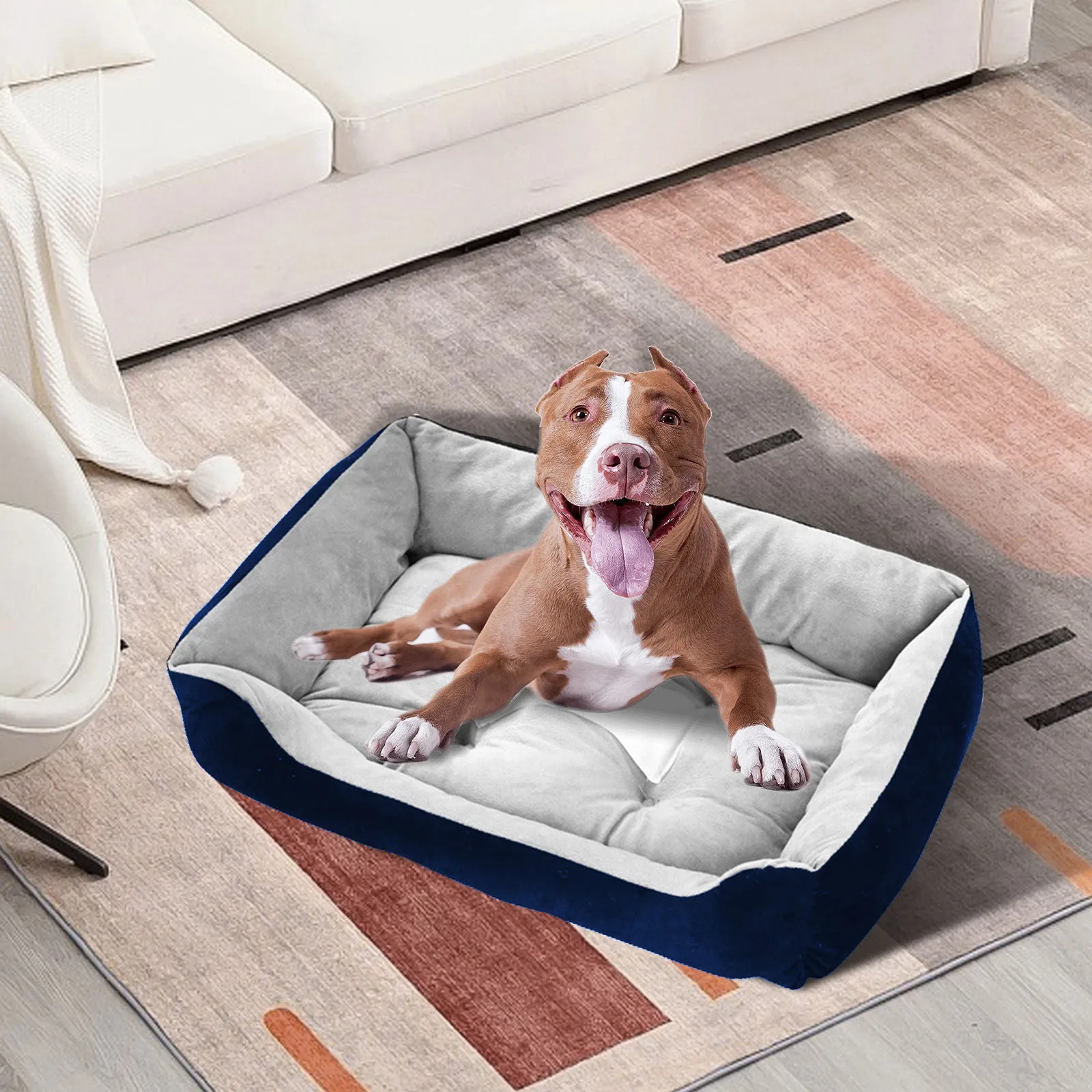 Blue Walled Pet Bed with Foam Padding - Medium | PawFriends