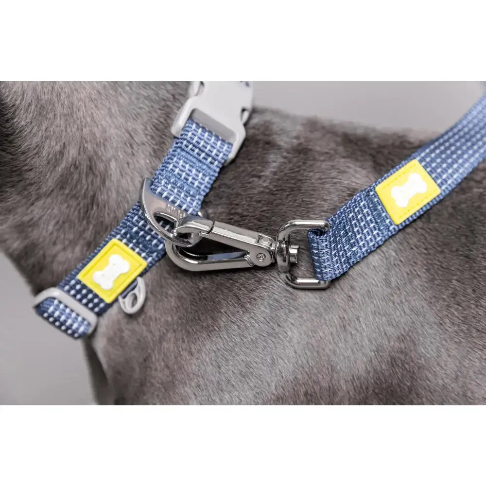 Built Pets Reflective Lead - Large Blue