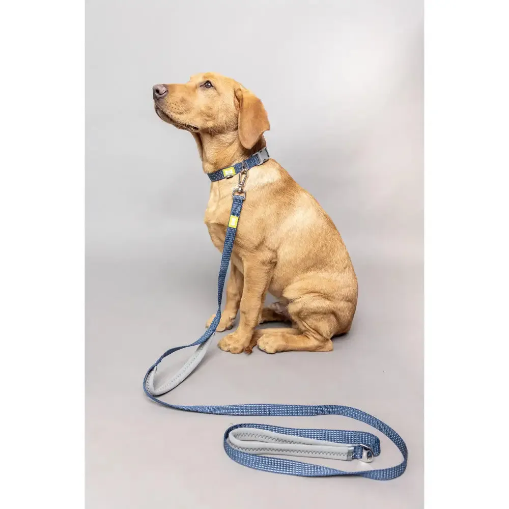 Built Pets Reflective Lead - Medium Blue