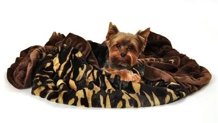 Camo Carrier Blanket