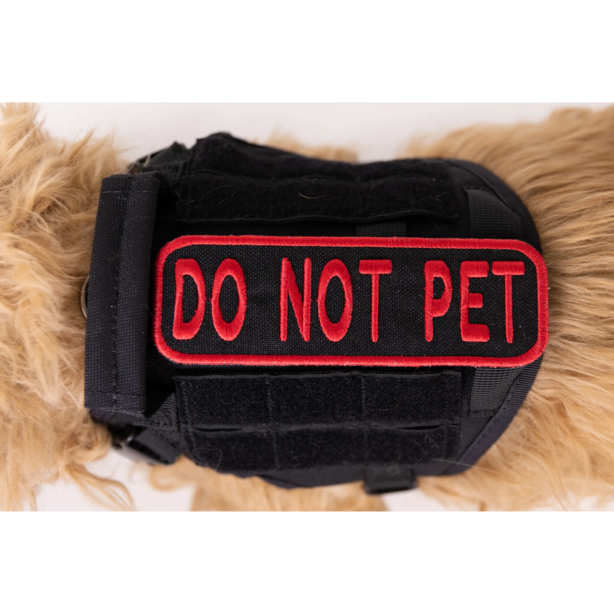 Do Not Pet 2x6 Patch