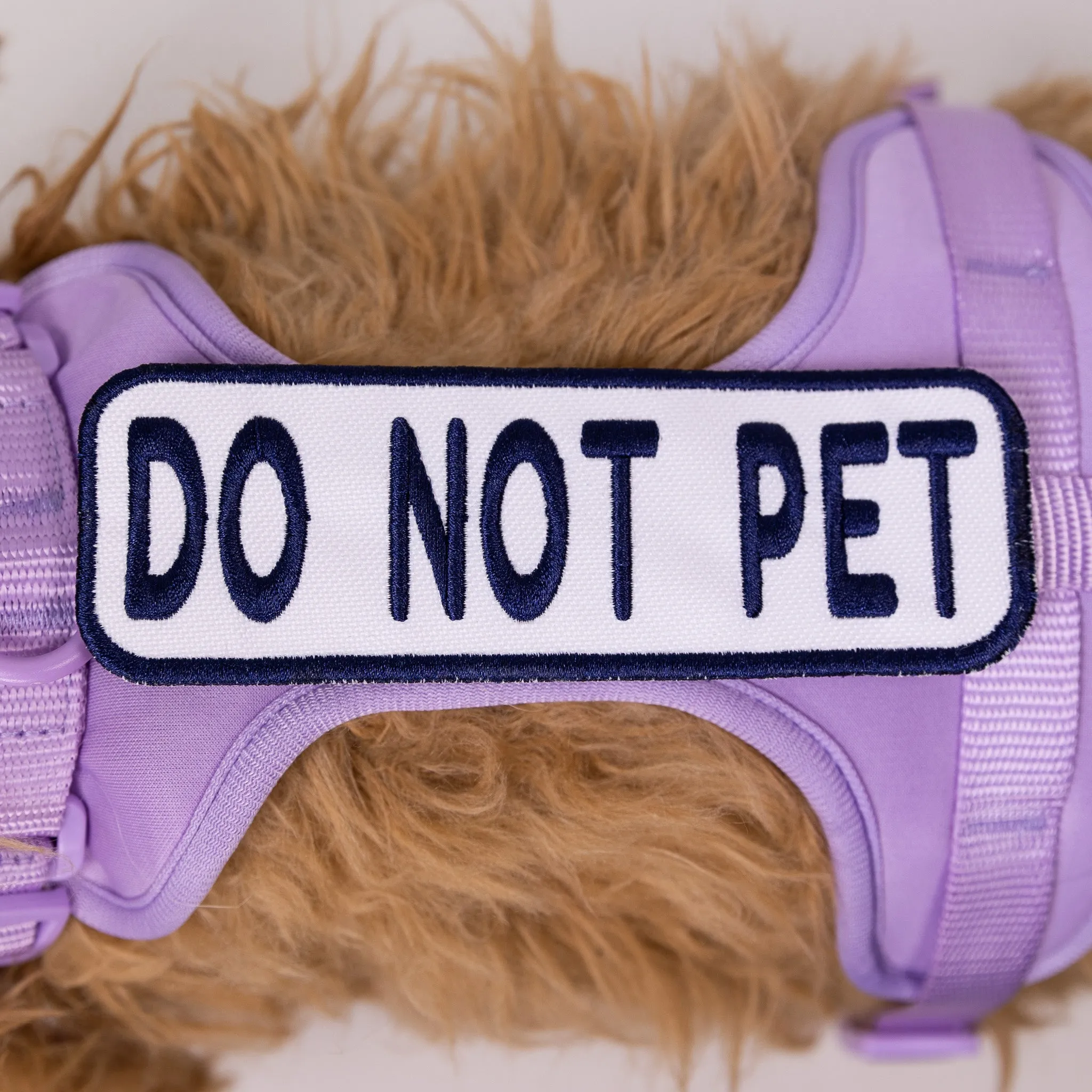 Do Not Pet 2x6 Patch