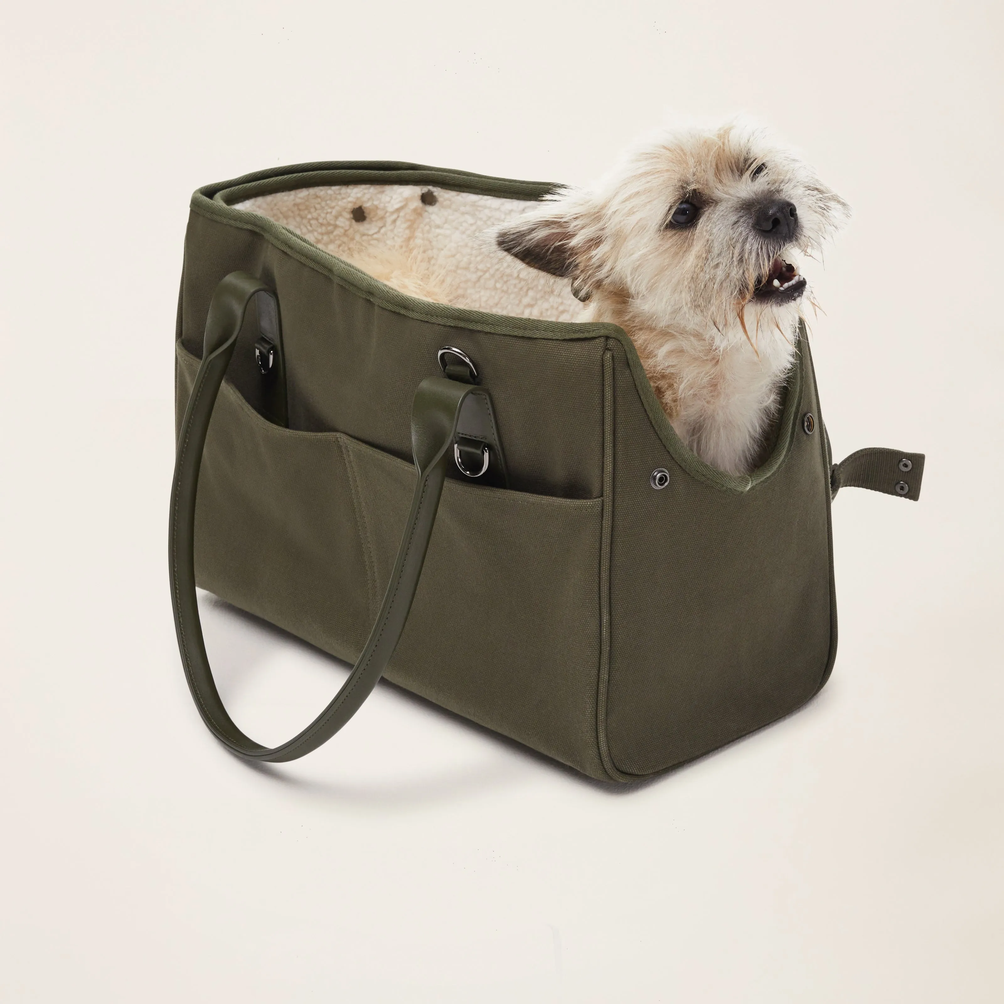 Everyday Pet Carrier