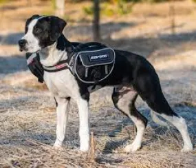 Ezydog Convert Saddle Bag