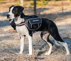 Ezydog Convert Saddle Bag