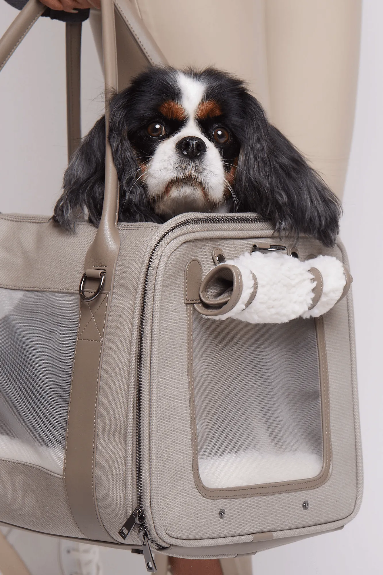 Global Citizen Pet Carrier Bag