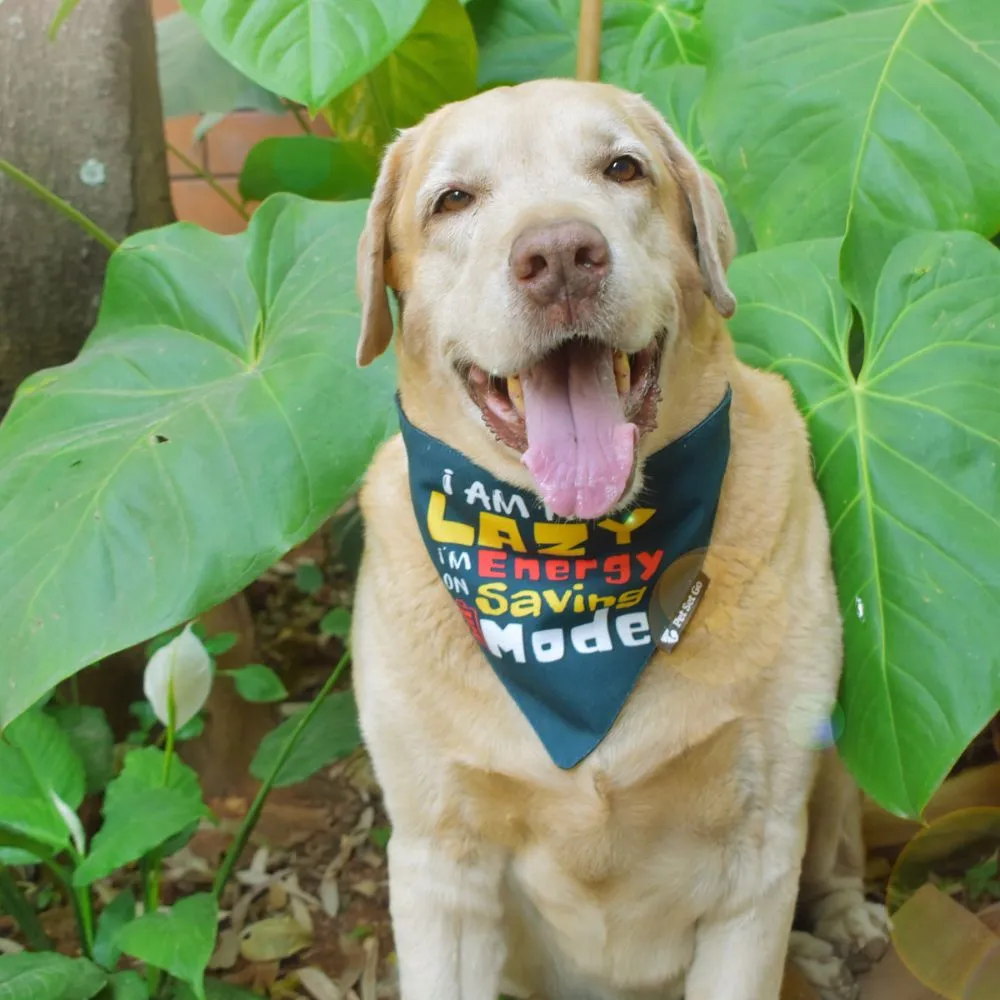 I am not Lazy Dog Bandana