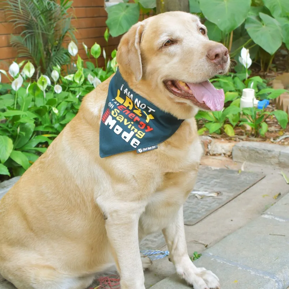 I am not Lazy Dog Bandana