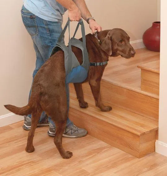 Kurgo Up & About Dog Lifter