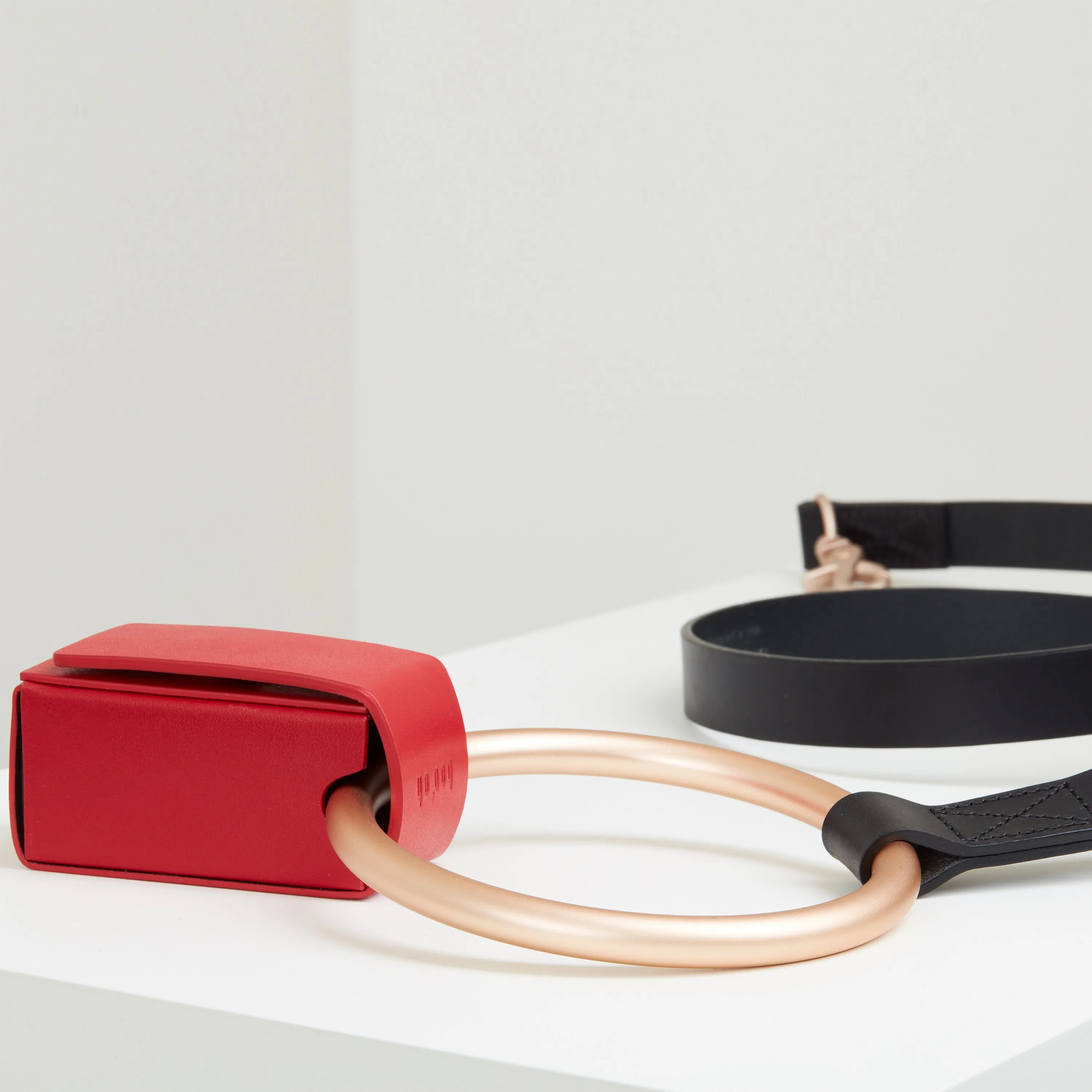 Lumi Leash