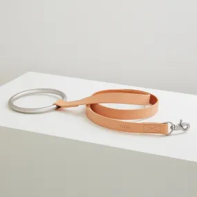 Lumi Leash