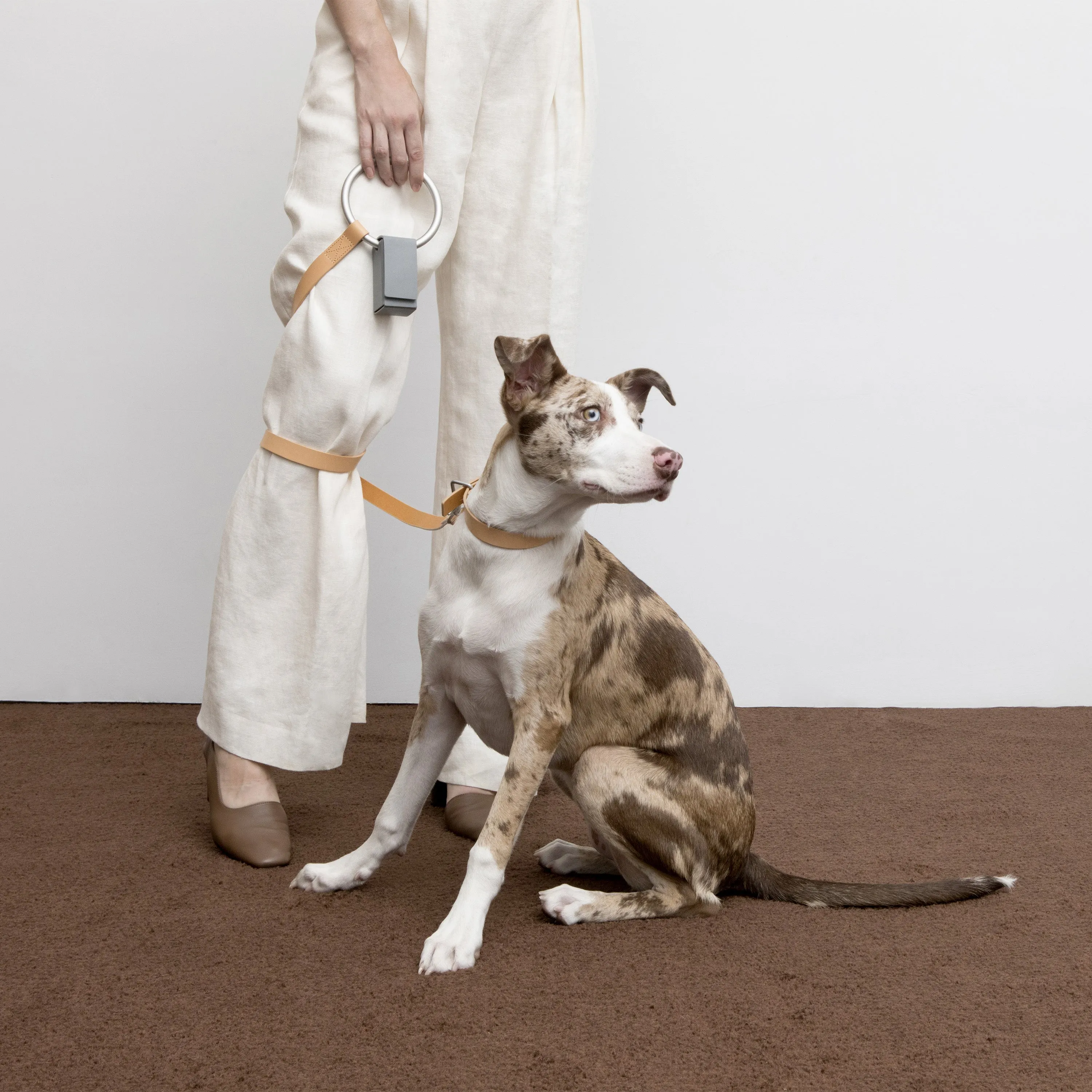 Lumi Leash