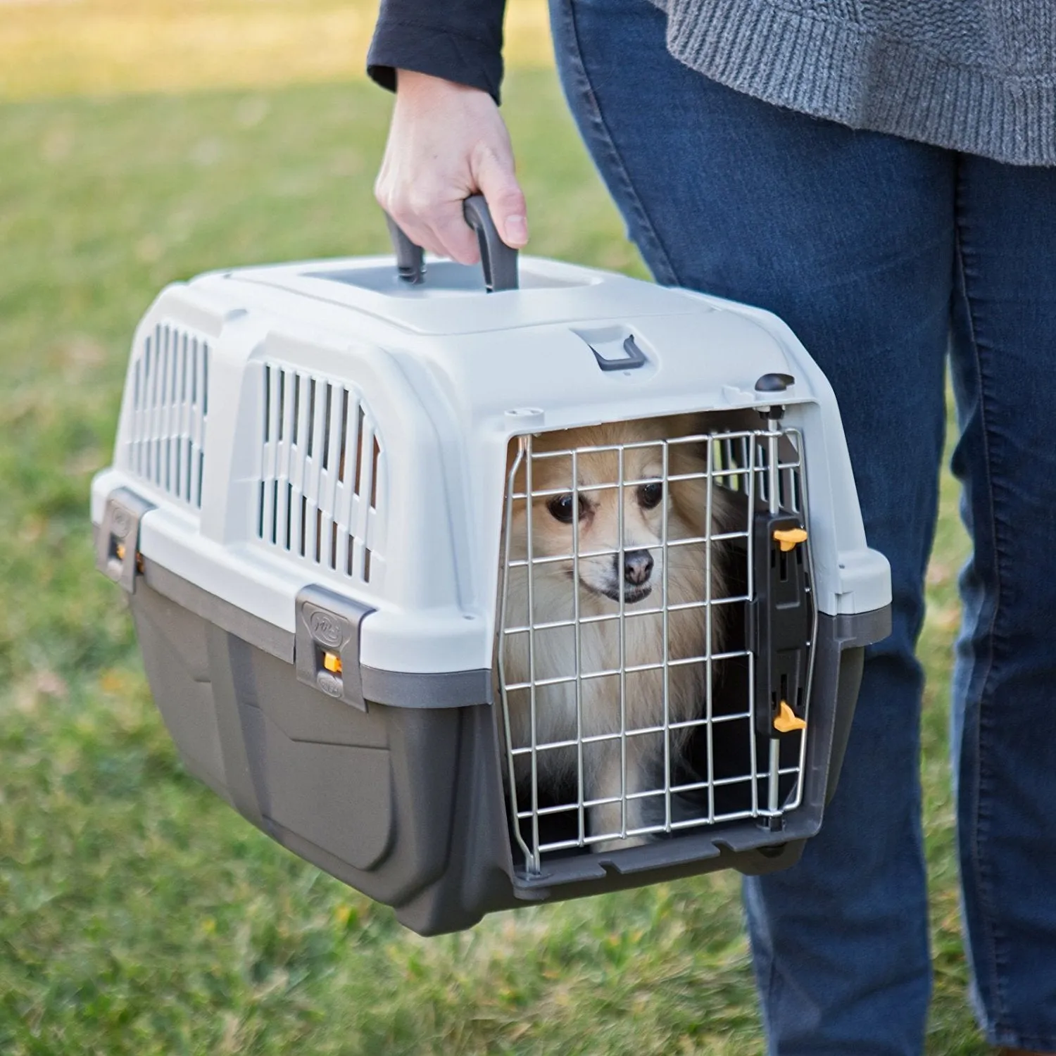 Midwest Skudo Plastic Travel Carriers for Pets