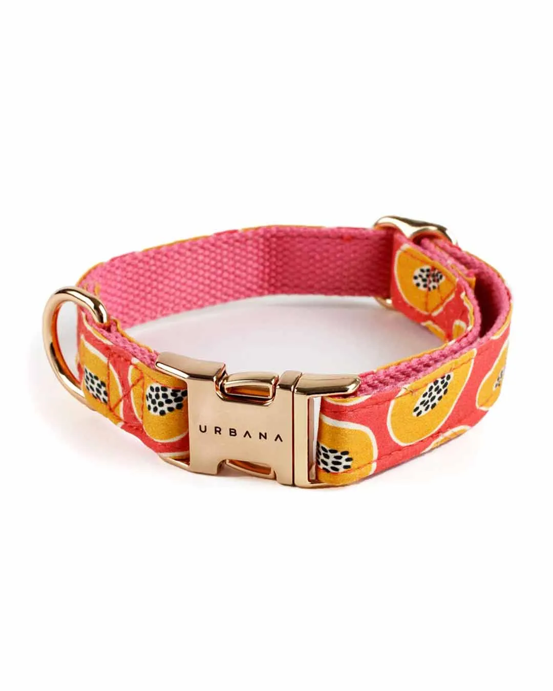 Papaya Madness Dog Collar