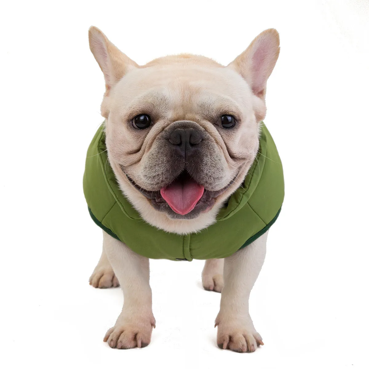 Pet clothes dog bulldog windproof cotton vest