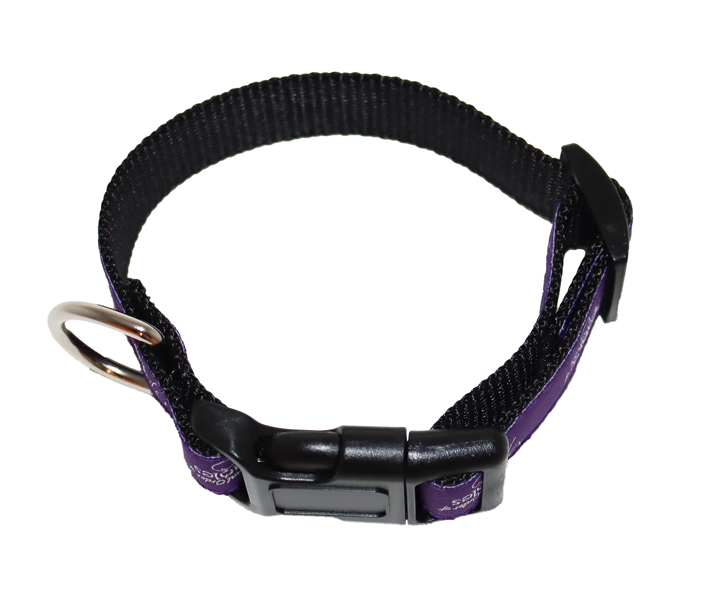 Pet Collar