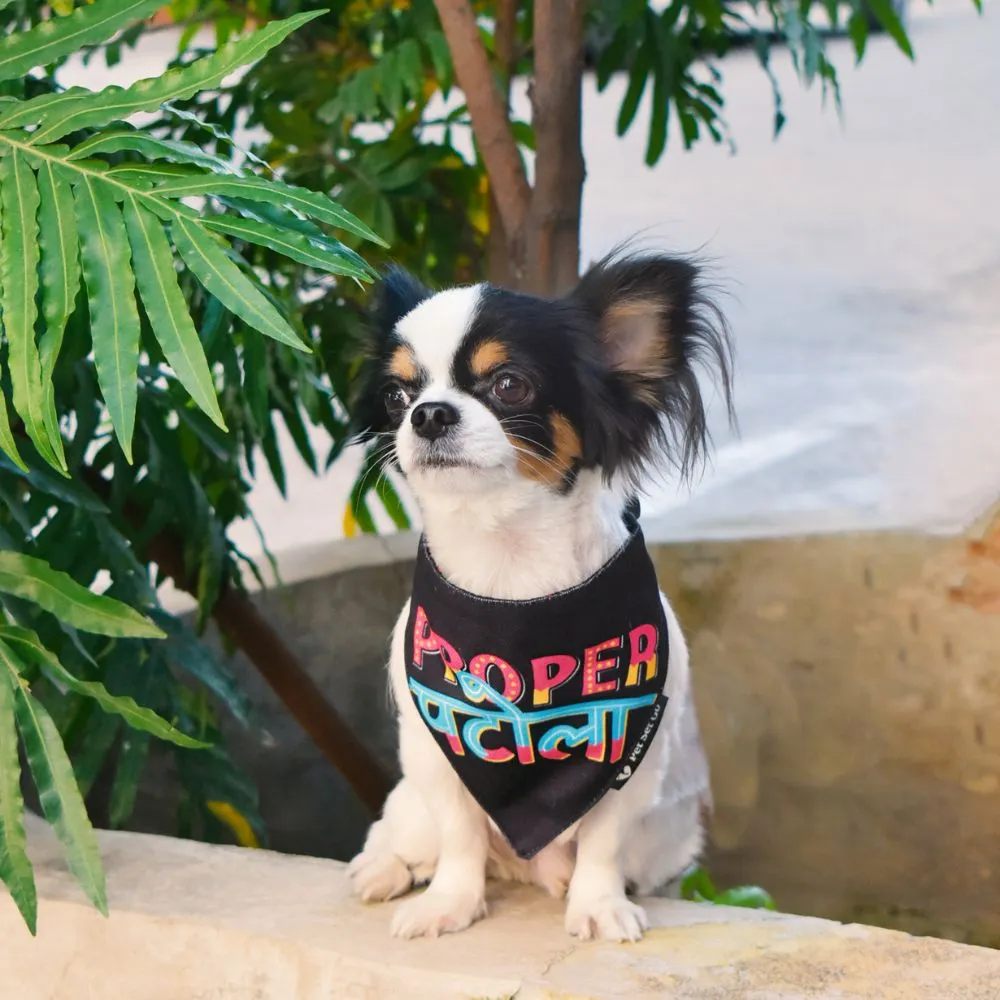 Proper Patola Dog Bandana