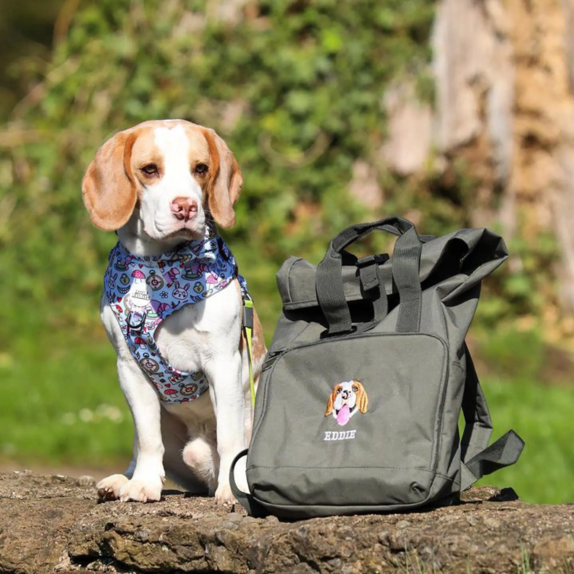 Recycled Mini or Large Embroidered Pet Portrait Backpack