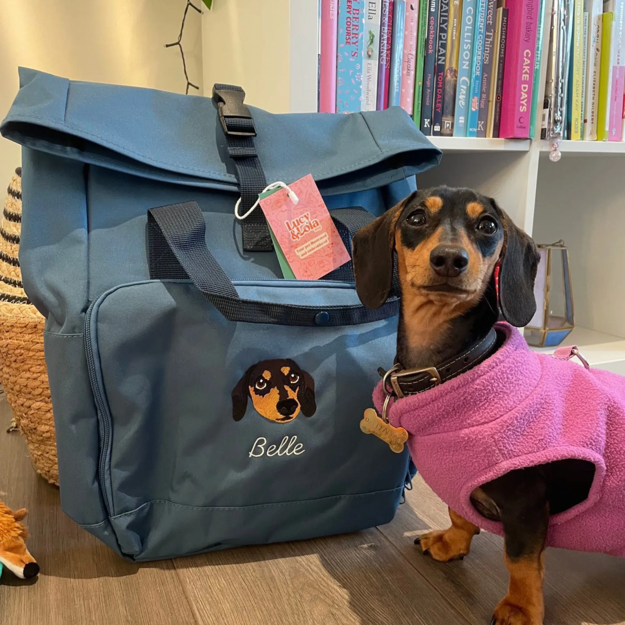 Recycled Mini or Large Embroidered Pet Portrait Backpack