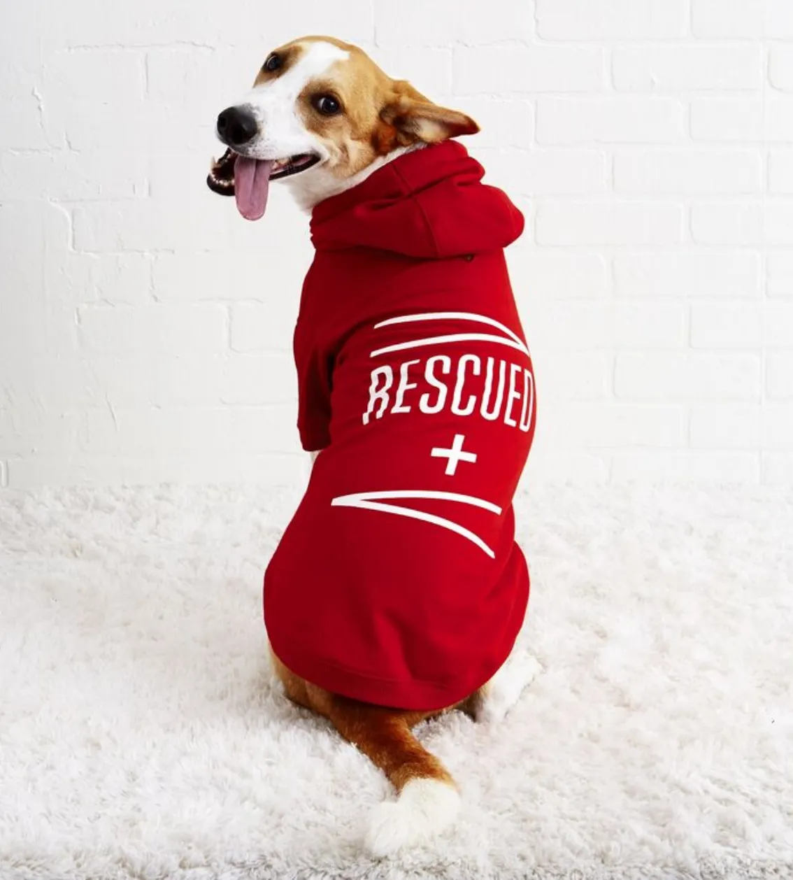 Rescued Dog Hoodie