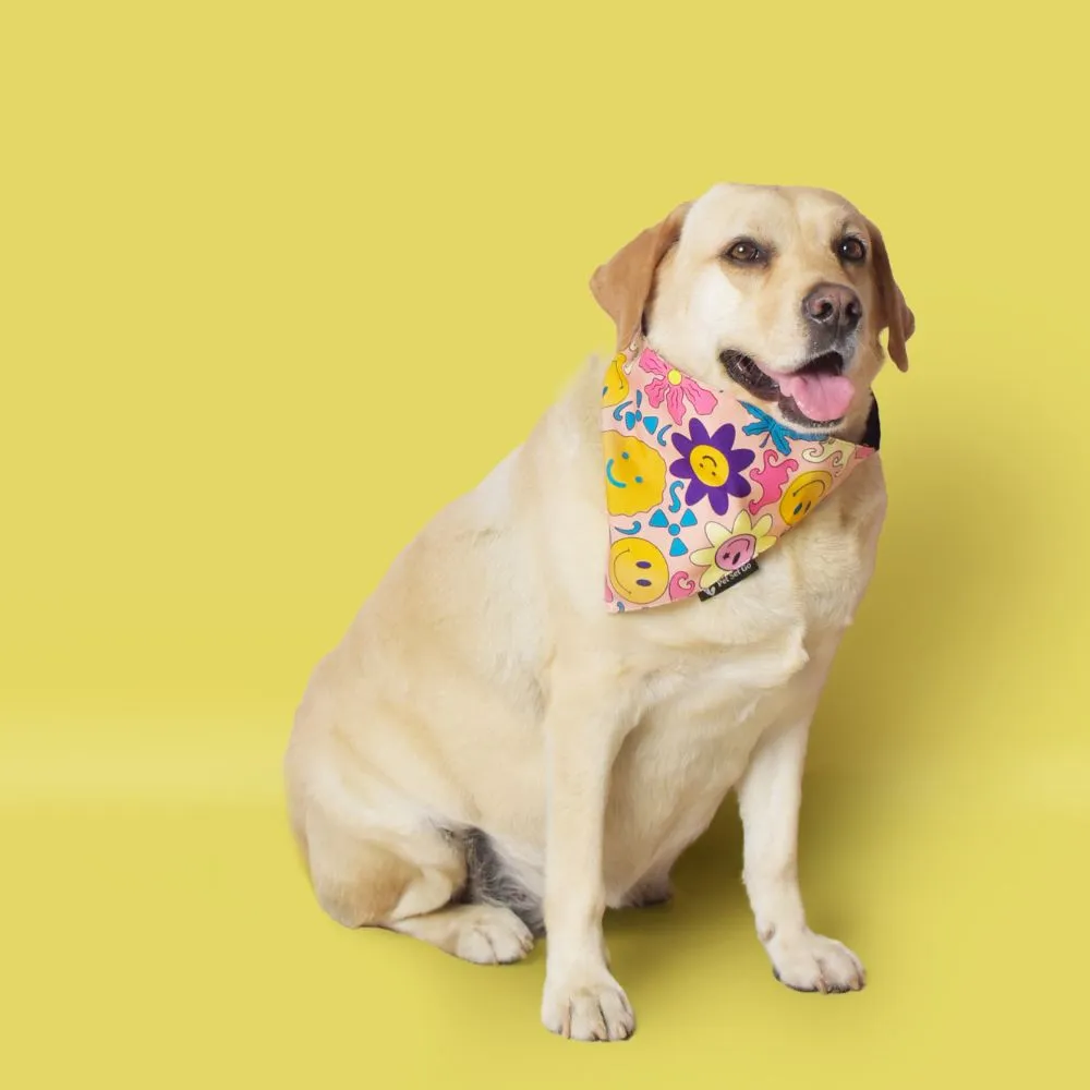 Smileys Dog Bandana