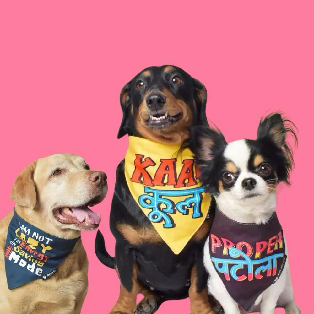 Super Saver Pack of 3 Bandanas Crazy