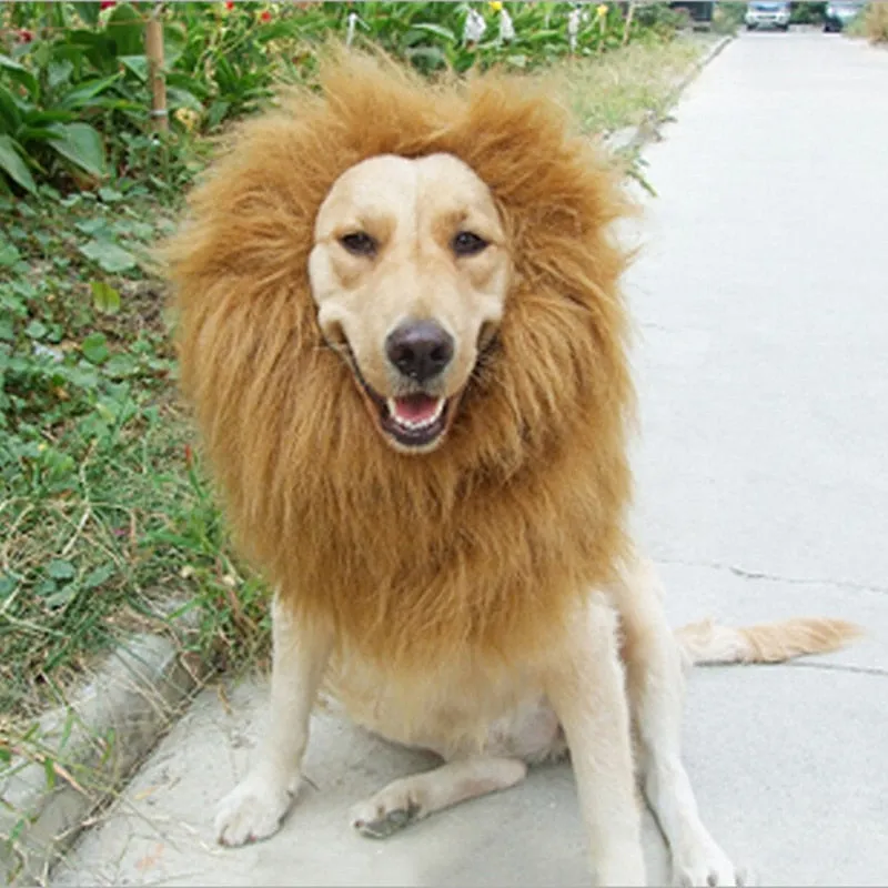 TEEK - Pet Lion Mane