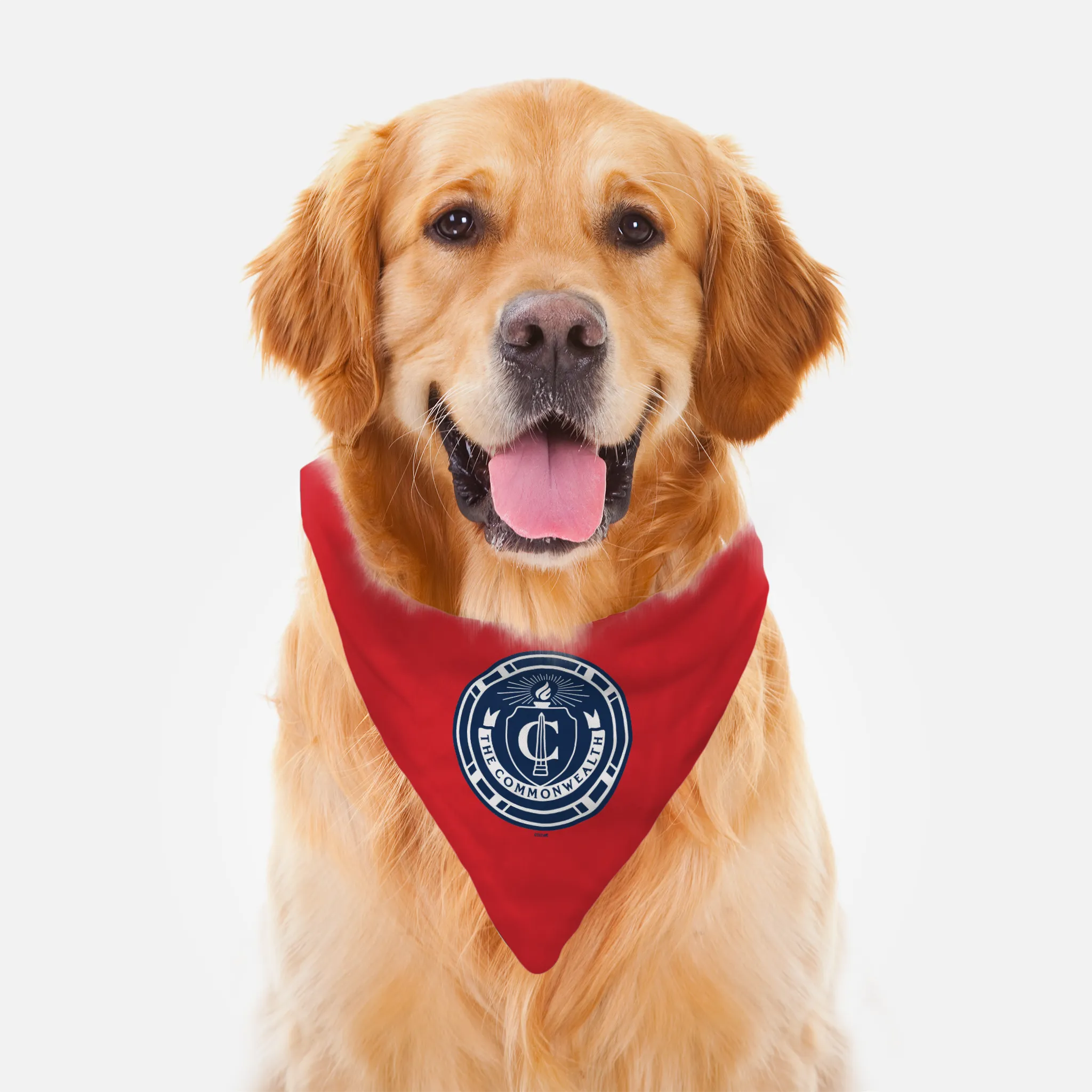 The Walking Dead Commonwealth Seal Pet Bandana