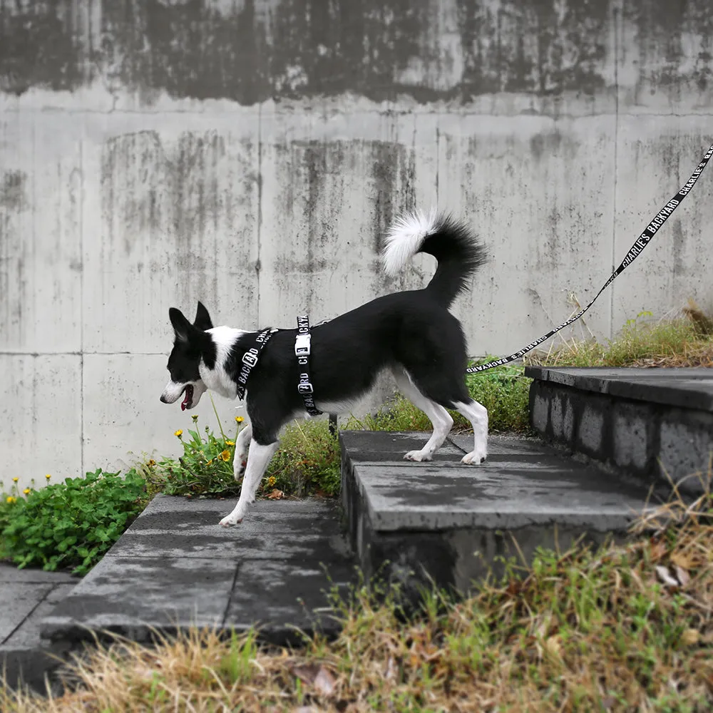 Trip Leash Black