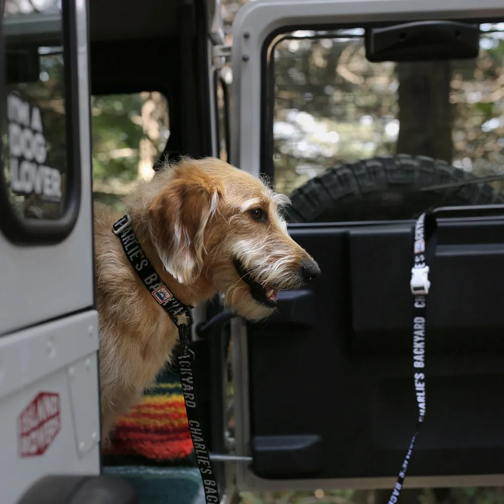 Trip Leash Black