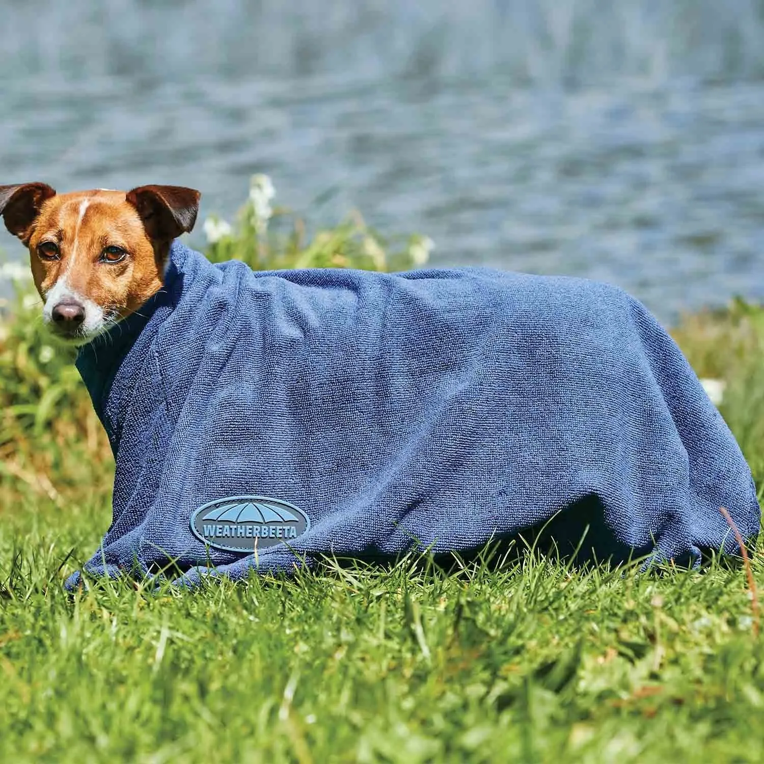 Weatherbeeta Dry-Dog Bag