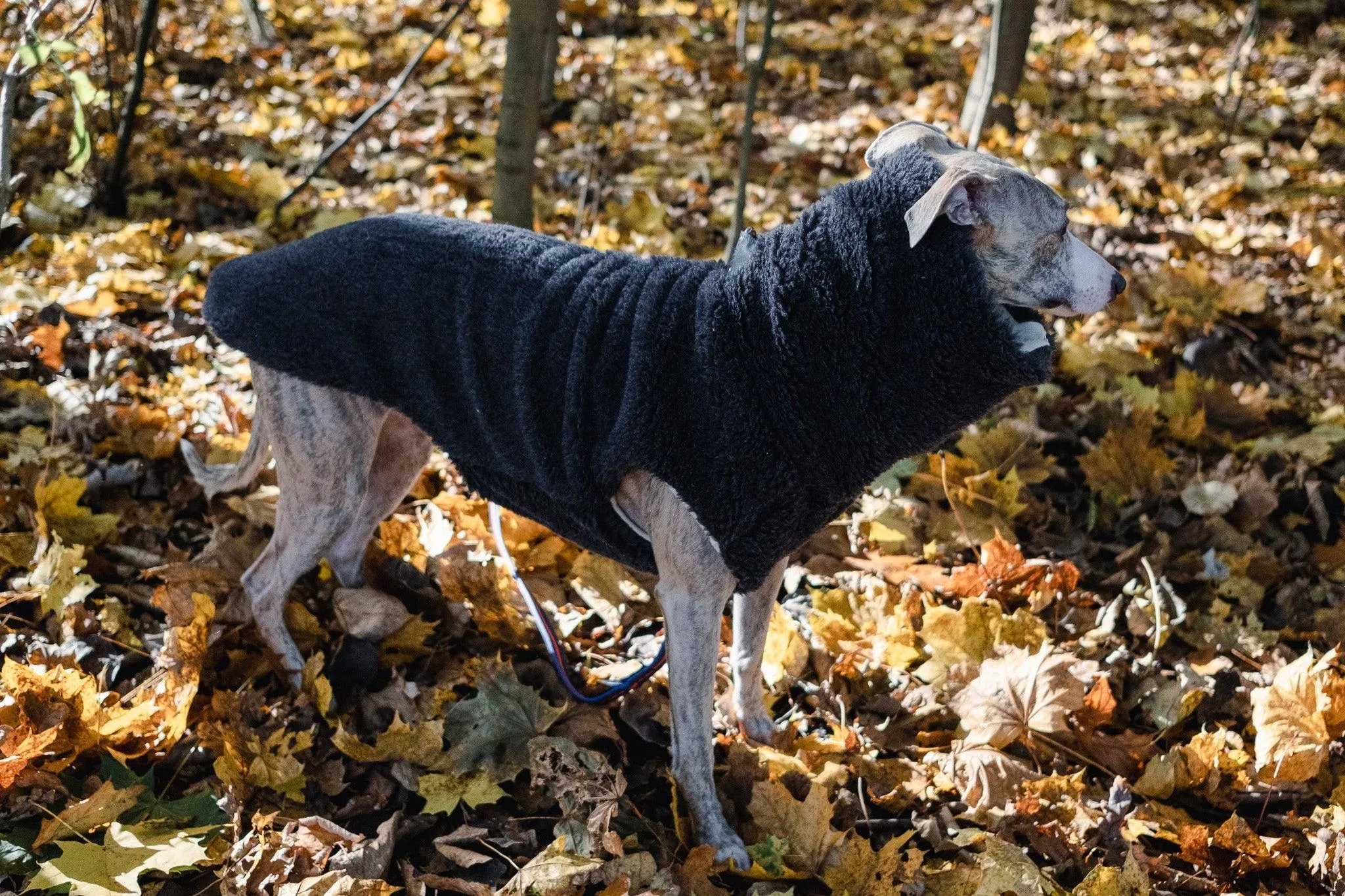 Woolen Dog Vest - Charcoal